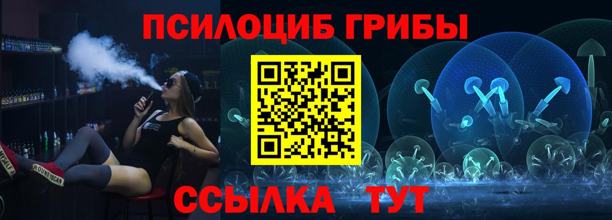 Псилоцибиновые грибы мухоморы  купить закладку  Щёлково  Вход с VPN 